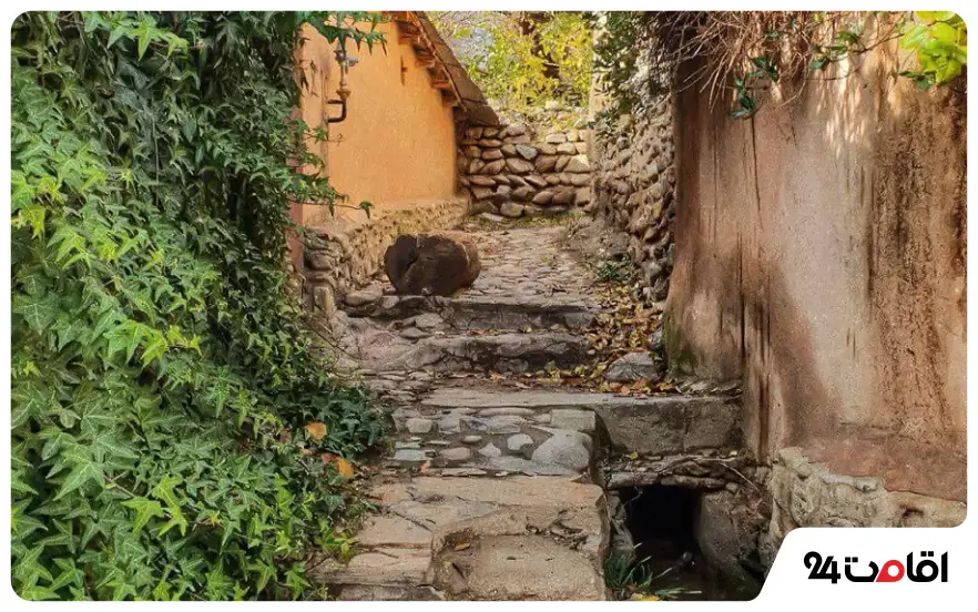 روستای کردان