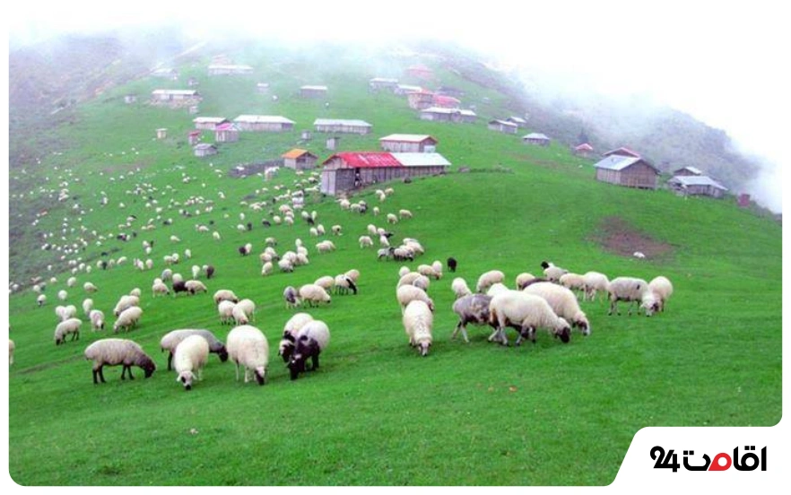 ییلاق های ماسوله