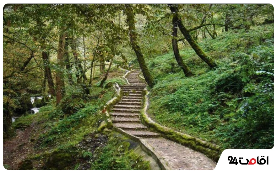 پارک جنگلی ماسوله