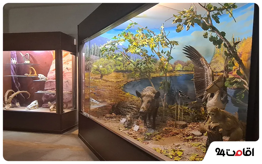 موزه تاریخ طبیعی و تنوع زیستی کرج