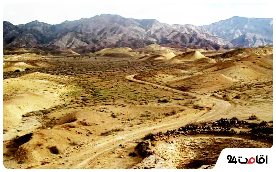 پارک ملی کویر 