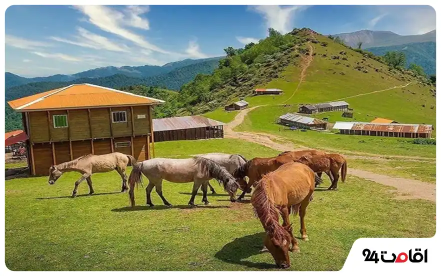 منطقه ییلاقی شاندرمن