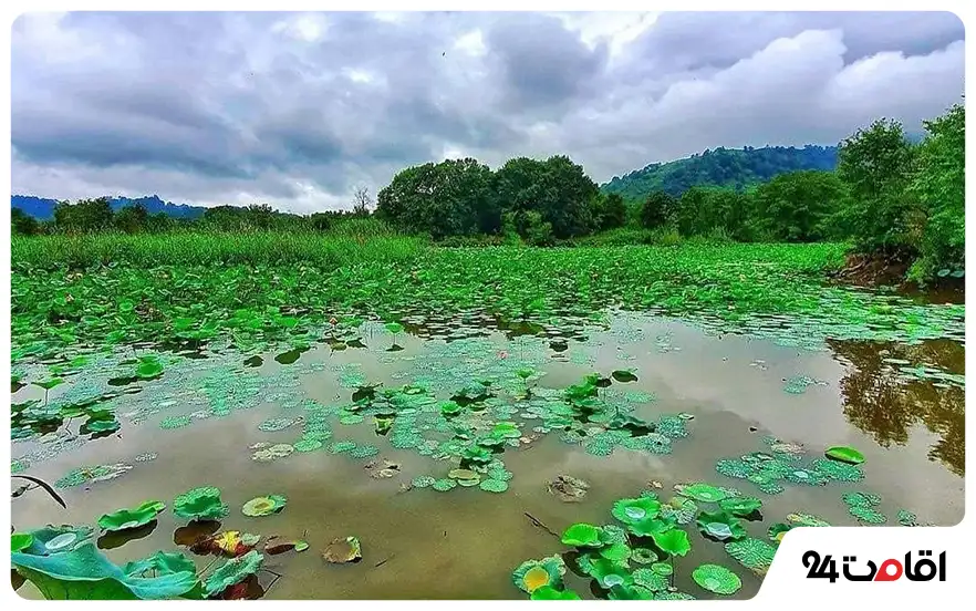 تالاب سوستان 