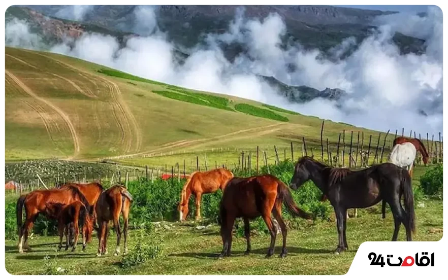 سفر به سوباتان در مهر