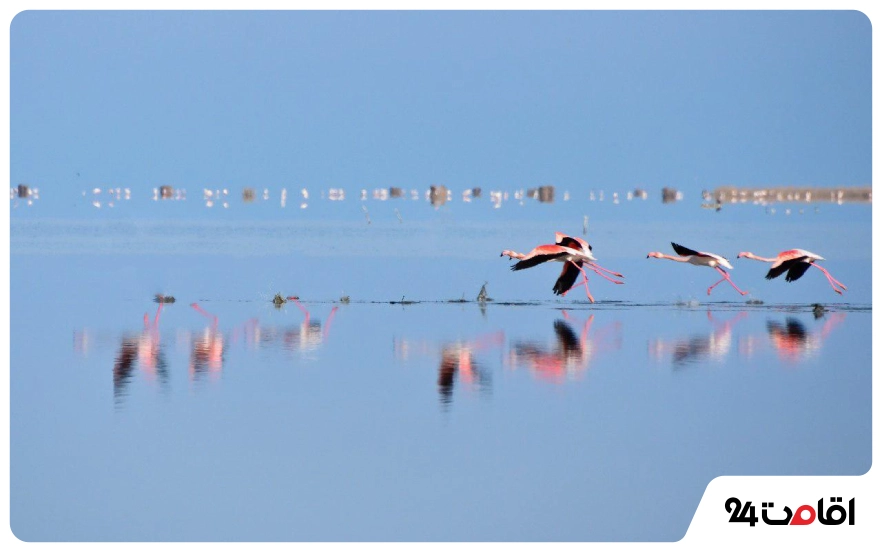 جاهای دیدنی بهشهر در بهار