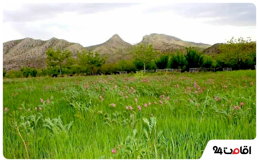 چهار گنبد سیرجان