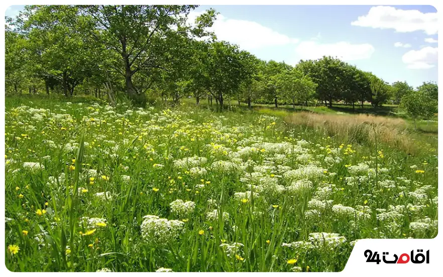 سیرجان در سیزده بدر