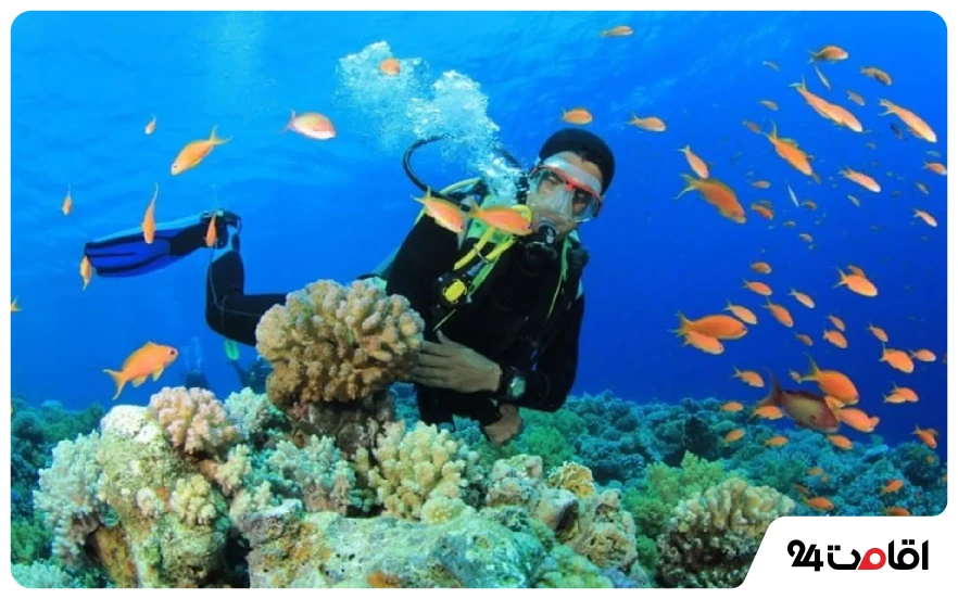 سفر به کیش در آذرماه