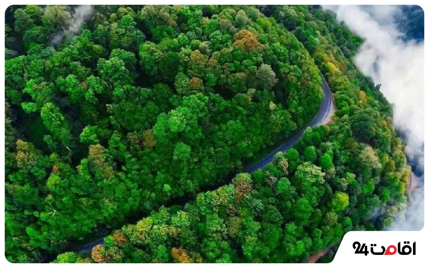 18 تا از بهترین جاده های شمال؛ جاهای دیدنی و لوکیشنهای عکاسی 9 جاده اسالم به خلخال