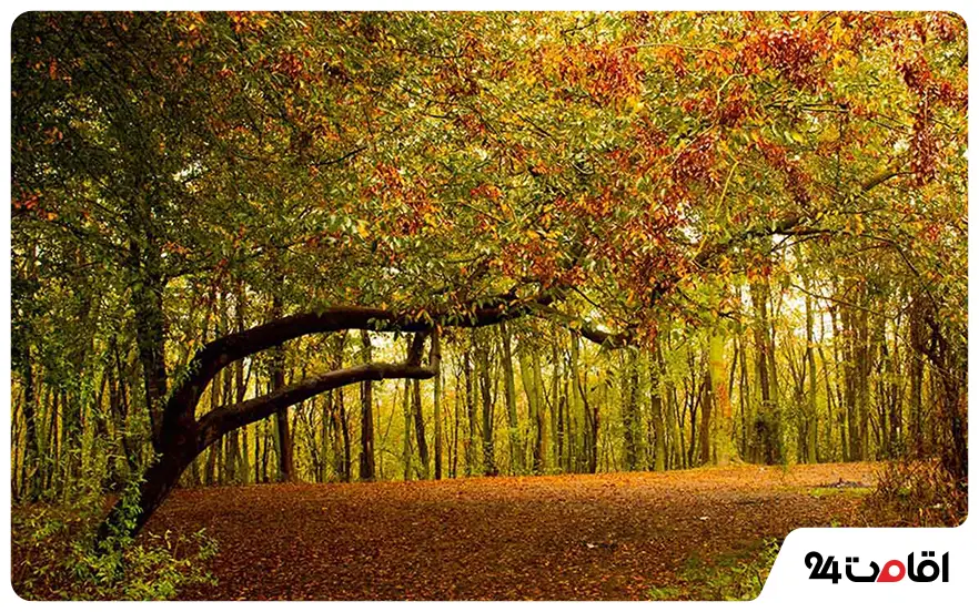 پارک جنگلی بزچفت بابل