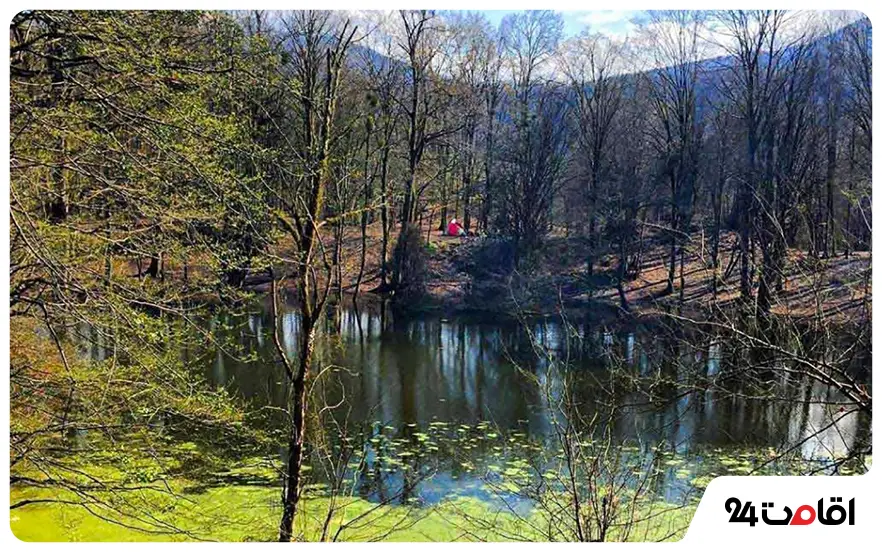 مرداب کندوچال چالوس