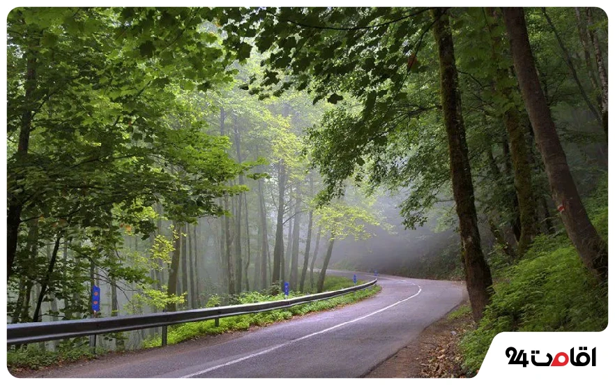 18 تا از بهترین جاده های شمال؛ جاهای دیدنی و لوکیشنهای عکاسی 6 جاده دالخانی