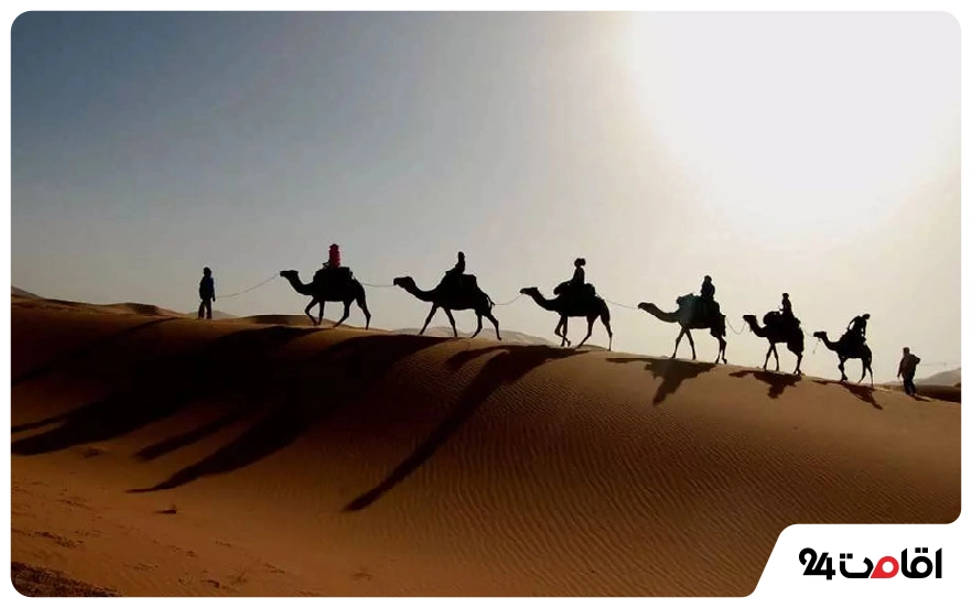 سفر به کویر مصر در آذرماه