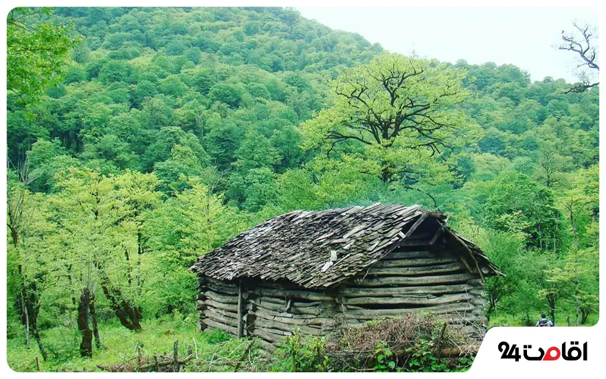 محیط زیست شمال