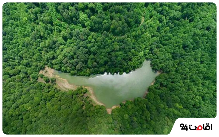 دریاچه جنگلی چورت