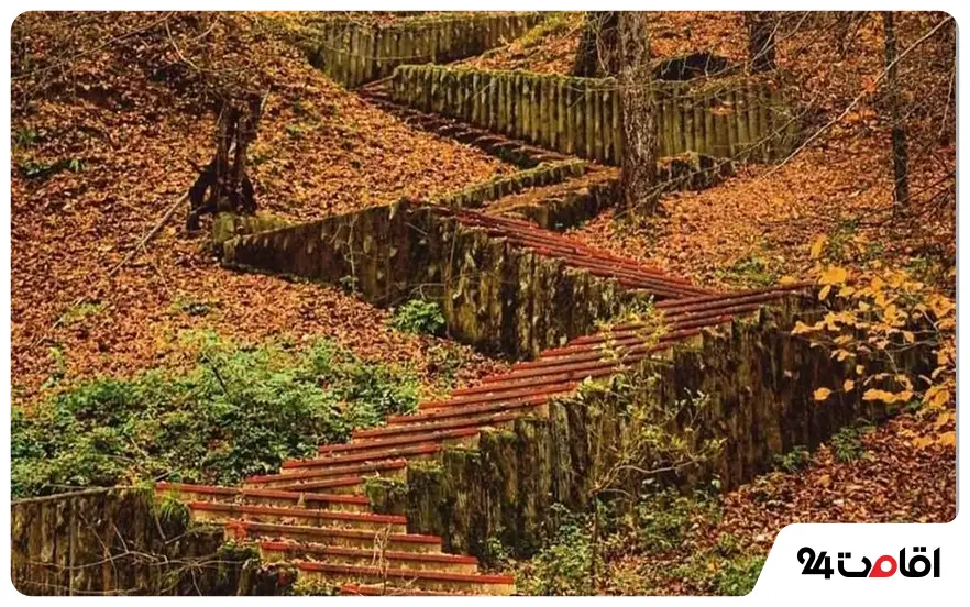 پارک جنگلی کشپل نور