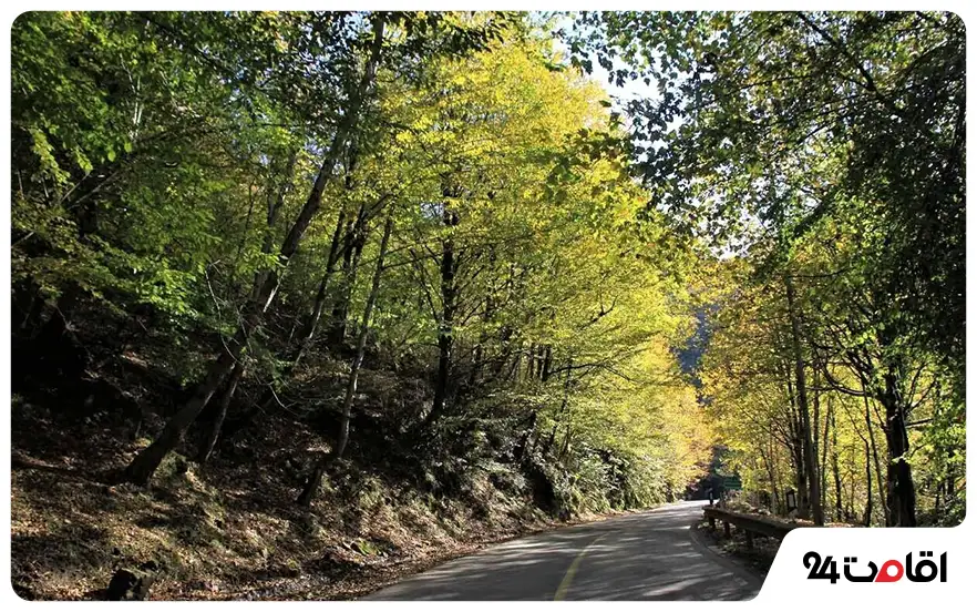 راهنمای سفر به شمال؛ از انتخاب مسیر تا اقامتگاه 3 جاده عباس آباد