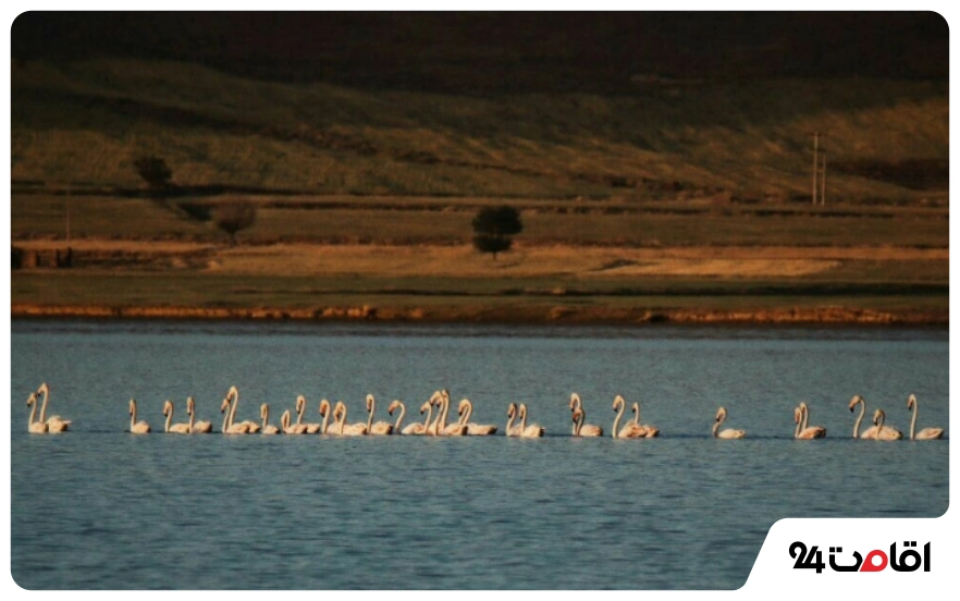 تالاب کردخورد