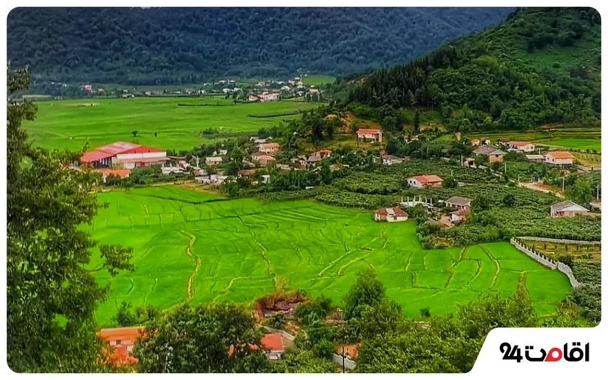 معرفی بهترین جاهای دیدنی لیسار 5 منطقه حفاظت شده لیسار