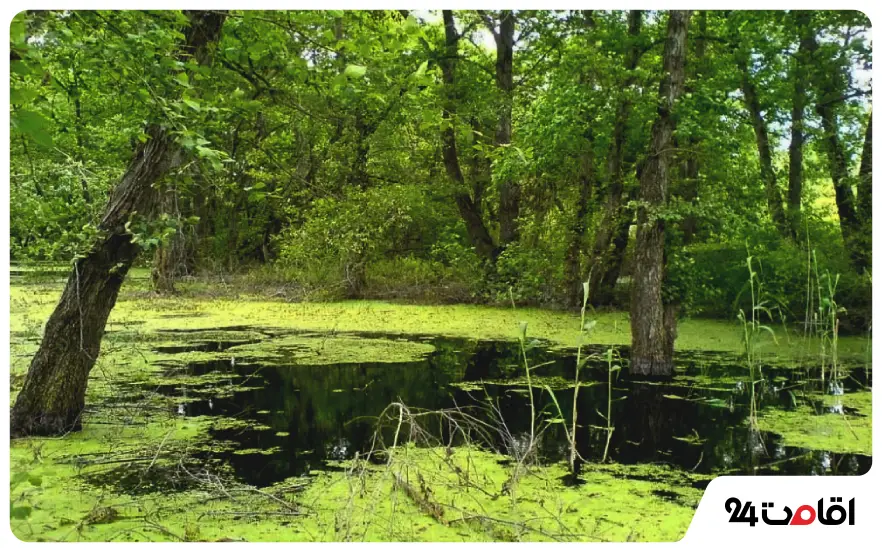 تالاب و منطقه حفاظت شده زاغمرز 