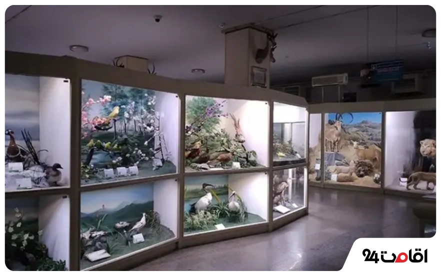 معرفی جاهای دیدنی آبادان با عکس 4 موزه تاریخ طبیعی آبادان
