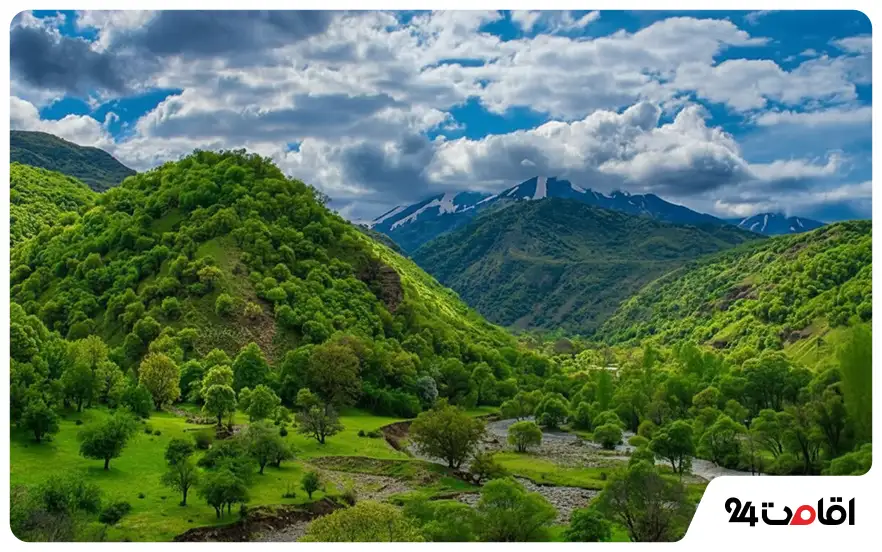 جنگل‌های پردانان