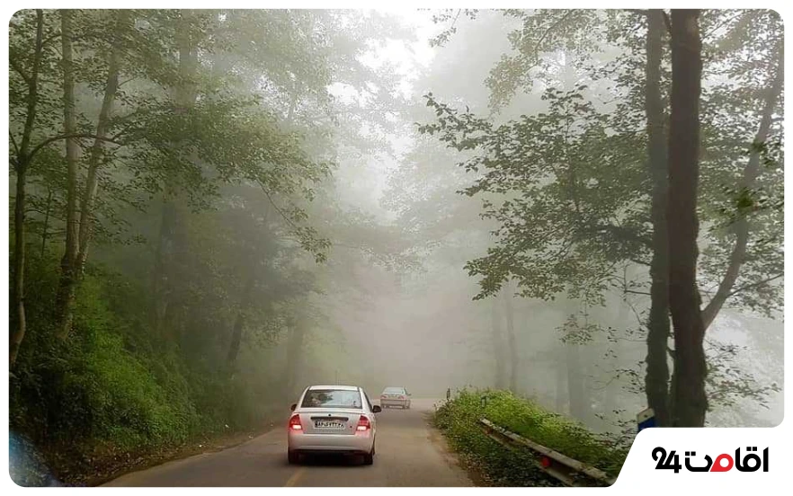 18 تا از بهترین جاده های شمال؛ جاهای دیدنی و لوکیشنهای عکاسی 5 جاده رامسر به جواهرده