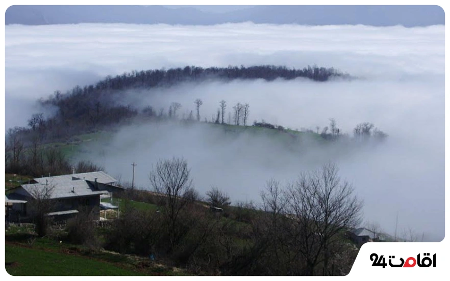 جنگل ابر شاهرود