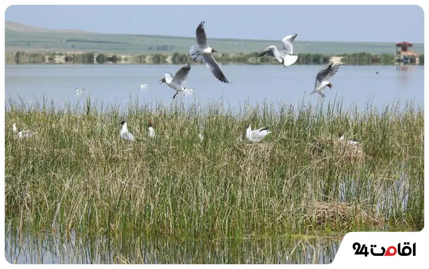 تالاب شیطان آباد