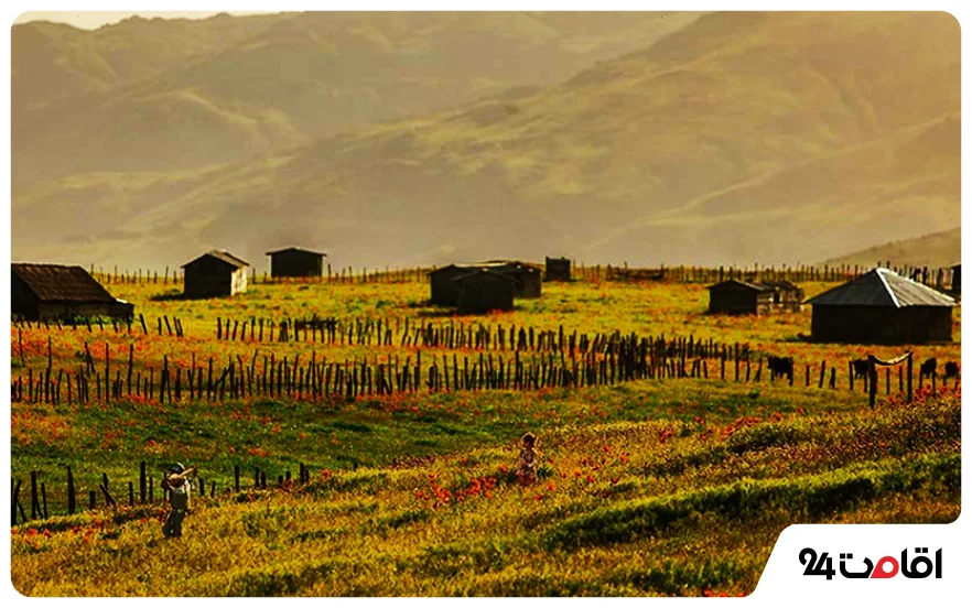 معرفی بهترین جاهای دیدنی لیسار 6 ییلاق شکر دشت