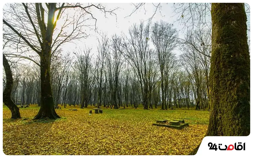 پارک جنگلی سی سنگان نوشهر