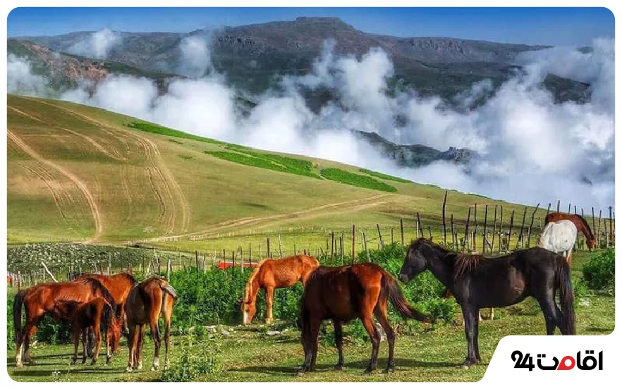 معرفی بهترین جاهای دیدنی لیسار 4 ییلاق سوباتان