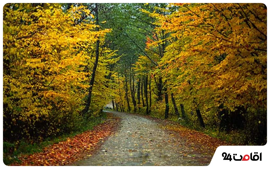 18 تا از بهترین جاده های شمال؛ جاهای دیدنی و لوکیشنهای عکاسی 23 the best photography locations on the roads of northern iran 3