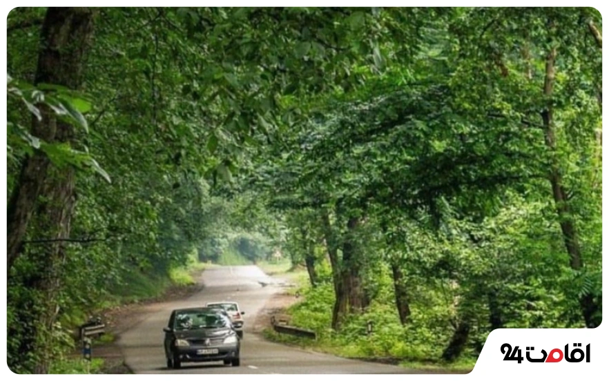 18 تا از بهترین جاده های شمال؛ جاهای دیدنی و لوکیشنهای عکاسی 12 جاده دو هزار و سه هزار تنکابن