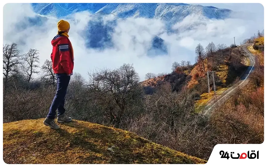 جنگل واز چمستان آمل