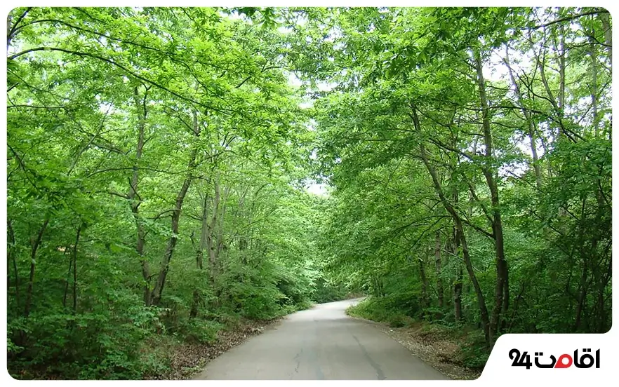 جاده سراوان به فومن