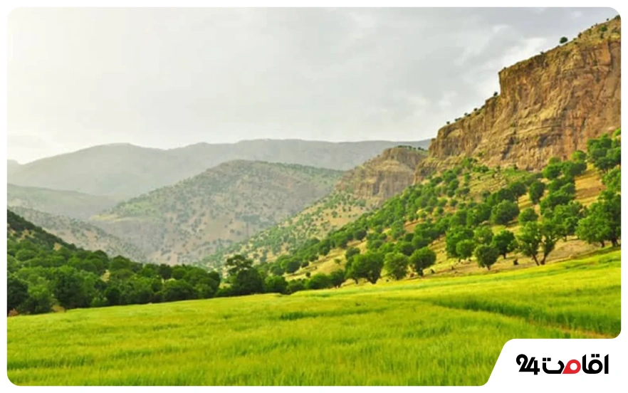 منطقه حفاظت شده هلن