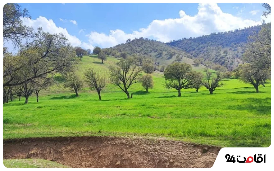 منطقه بارز و شوارز