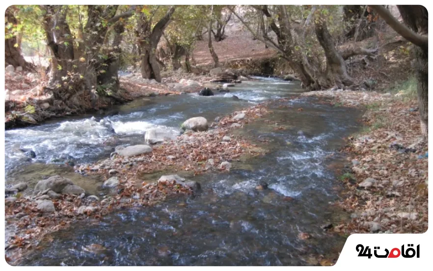 پارک جنگلی پروز