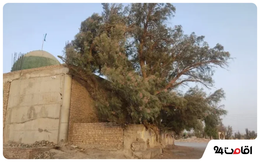 زیارتگاه بی بی دوست