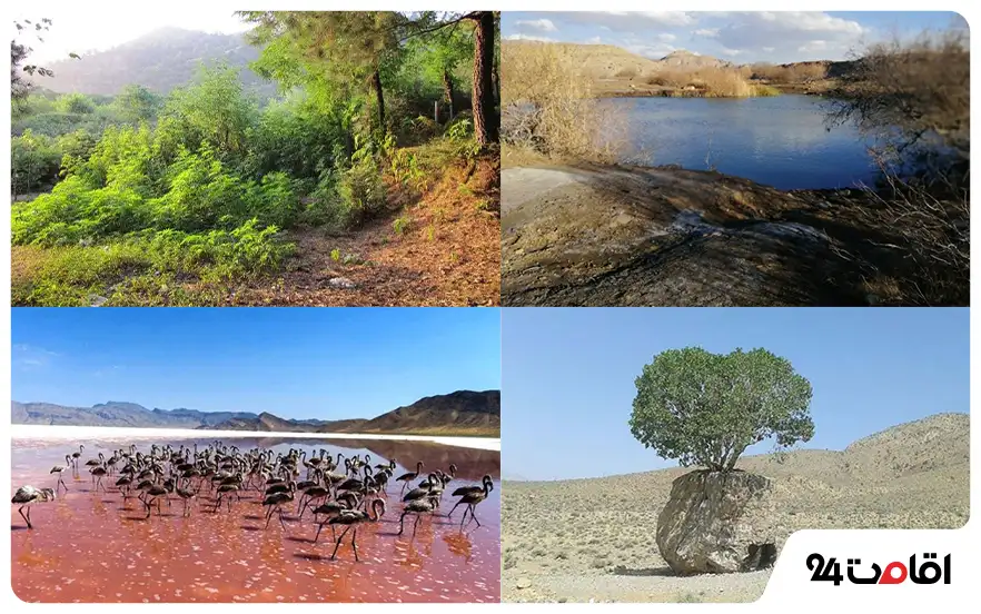 جاهای دیدنی ارسنجان در عید نوروز