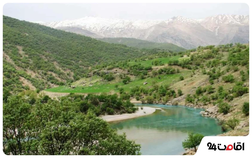 جنگل‌های فلارد 