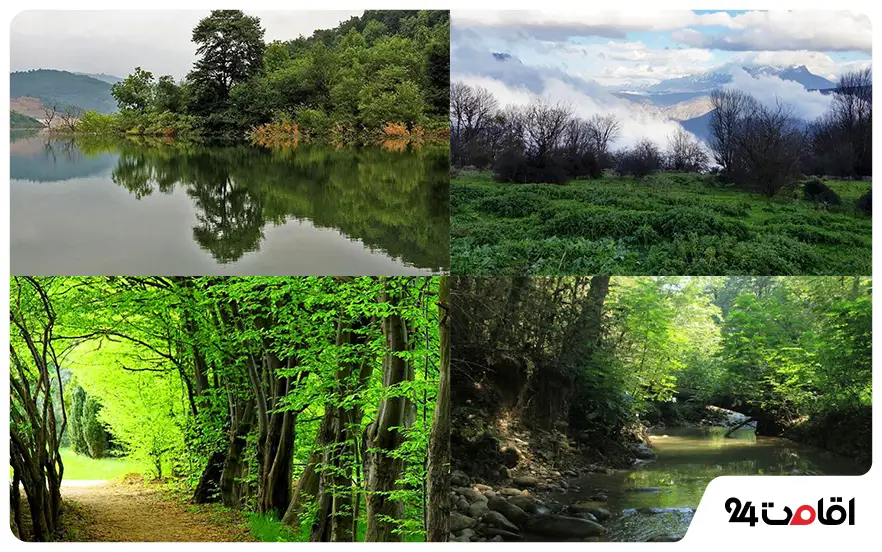 جاهای دیدنی جنگلی سوادکوه