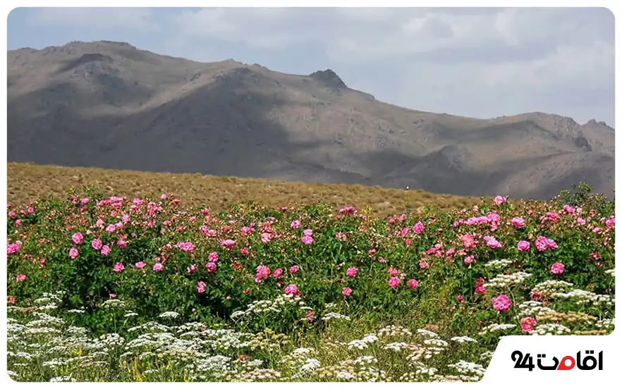 لاله‌زار کرمان