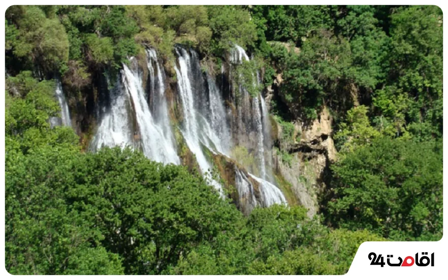 جاهای دیدنی جنگلی شهرکرد