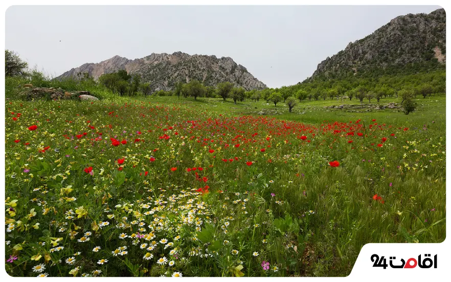 مکان های دیدنی لردگان در فروردین