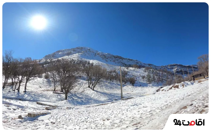 پارک جنگلی چهارطاق