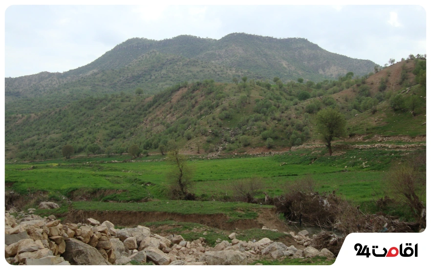 پارک جنگلی بلوران