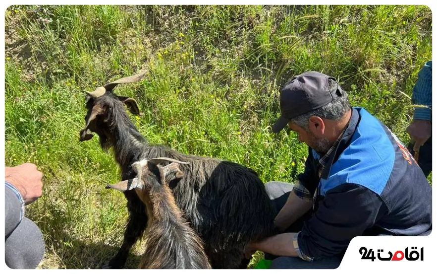 جشن دودوشان
