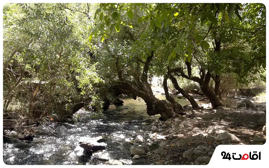 معرفی جاهای دیدنی الشتر با عکس و آدرس 7 دره کهمان الشتر